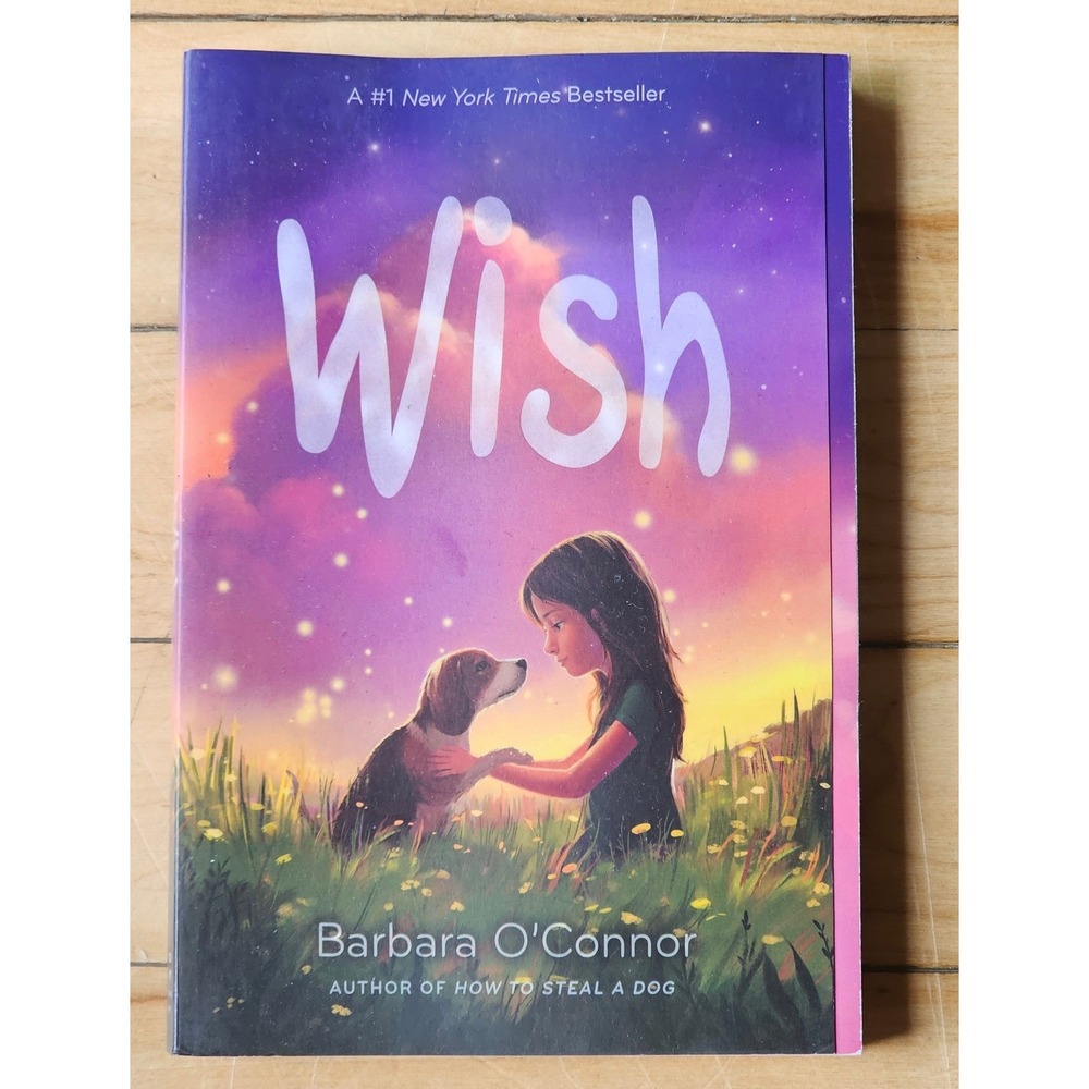 Wish by Barbara O'Connor Paperback Book Middle Grade Fiction 9781250144058